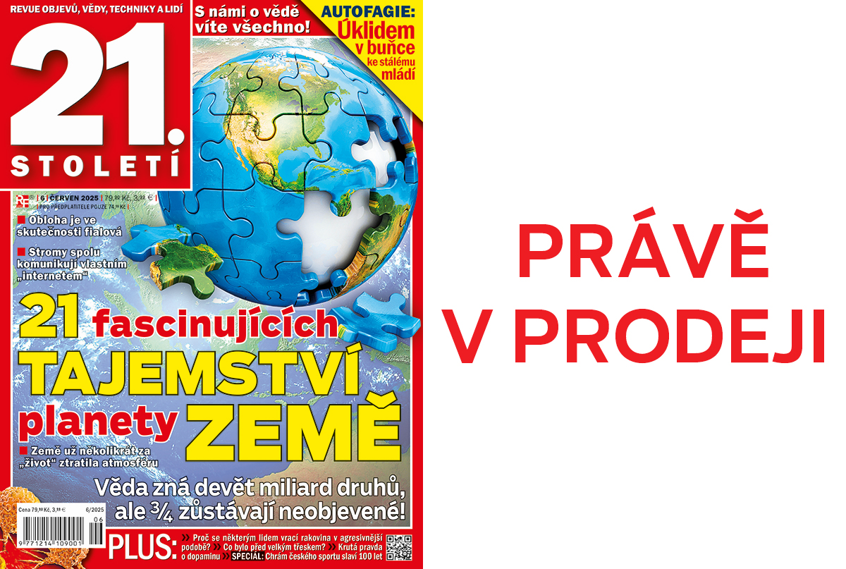 Upoutávka