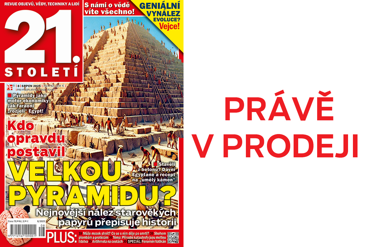 Upoutávka