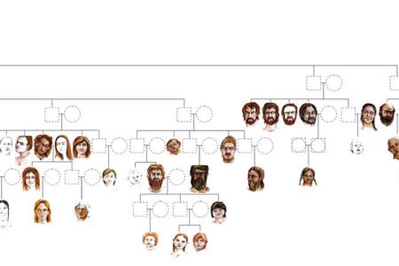 Zrekonstruovaný rodokmen neolitické rodiny