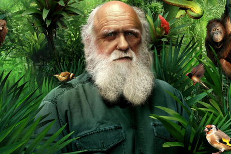 Jak Darwinova evoluční teorie rozdělila svět…