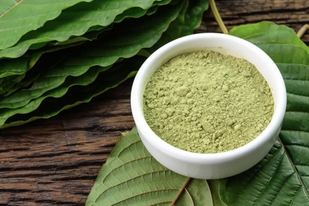 Kontroverzní Kratom: Fakta a Mýty o Asijské Rostlině