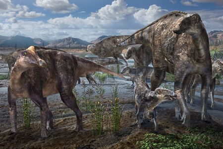 Ptáci obývali Arktidu už v éře dinosaurů, odhalují nejnovější vědecká zjištění!