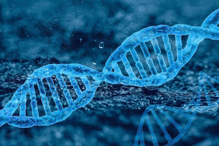 Analýza DNA jako nástroj pro identifikaci obětí hromadných katastrof