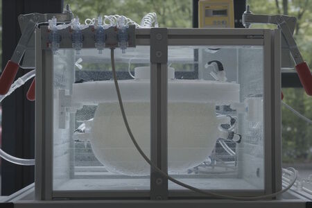 Skutečnost, nebo sci-fi: Vědci pracují na umělé děloze!