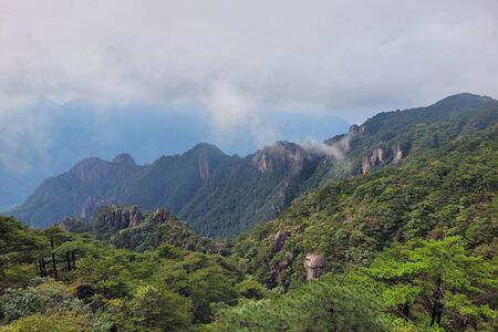 Stromy jako archiv klimatu: Letokruhy odhalují minulost extrémních srážek z tropických cyklón