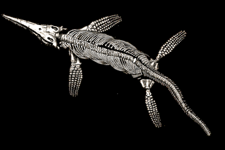 Ryboještěr z dávných časů: Plaz, co vypadal spíš jako ryba!