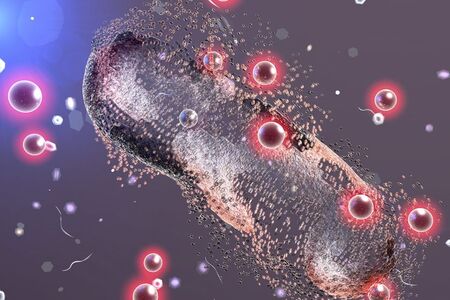 Překvapení na mikroúrovni: Bakterie se umí adaptovat i na nanostříbro