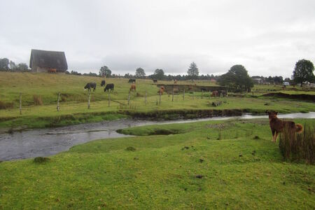 Nový pohled na to, kdy lidé poprvé osídlili Ameriku