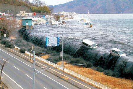 Bahno na pobřeží otevřelo při tsunami v Japonsku v roce 2011 cestu zkáze