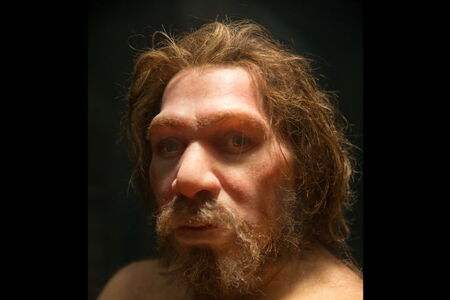 Neandertálci uměli léčit zubní kazy už před 59 000 lety
