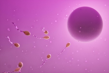 Problémy s početím dítěte? V USA začala umělá inteligence lovit spermie