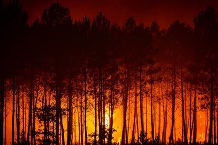 Požáry už nejsou výjimkou. Klimatická změna výrazně zvyšuje riziko ohnivých katastrof v Evropě