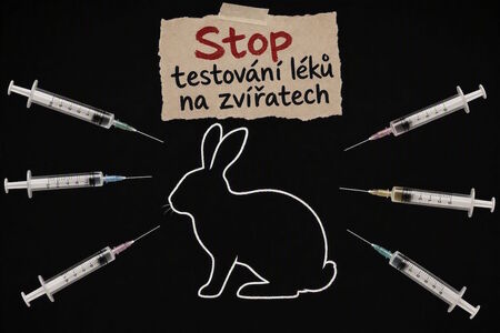 Testování bez bolesti: Organoidy nahrazují pokusy na zvířatech