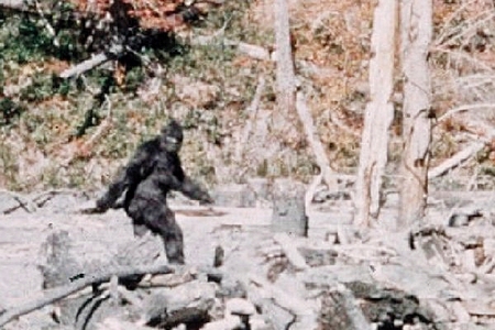 Indiány děsí Seskveč, zbytek USA Bigfoot: Obývá lesy Severní Ameriky lidoopí kryptid?