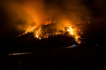 Co ve skutečnosti stojí za katastrofálními požáry v Kalifornii?