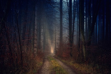 Prokletý les sebevrahů na Smolné: Straší v něm duše mrtvých nešťastníků?