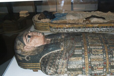 Otázka „za milion“: Kdo zavraždil mumii?