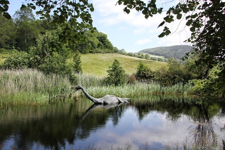 Tajemná Nessie: Plesiosaurus, úhoř, nebo jen kus dřeva?
