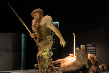 Neandertálci: Co přispěje k jejich konci?