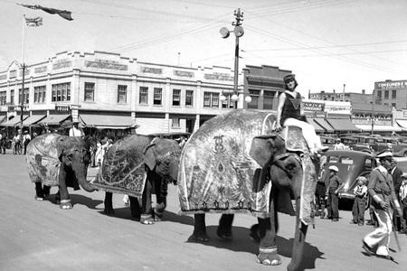 Největší cirkus světa nadchl Čechy