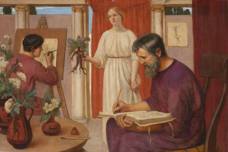 Mýty opředená mandragora: Léčivý kořen s magickou mocí?