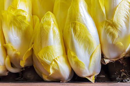 Čekanka je skvělá zimní zelenina