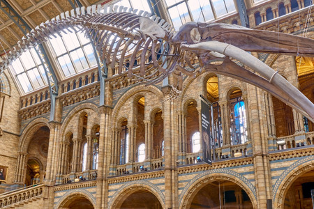 Proměnil architekt londýnské muzeum v katedrálu přírody?