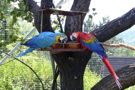 Zoo Ústí nad Labem: Na počátku byl nadšený milovník ptactva