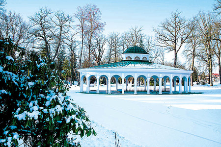 K Františkovi míří zejména ženy