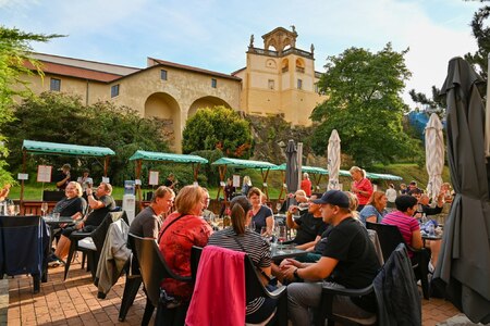 KRÁLOVSKÝ KOŠT DĚČÍN PŘINESE DO CENTRA MĚSTA NEJVĚTŠÍ VINAŘSKOU PÁRTY