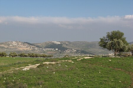 Posvátný oltář na hoře Ebal: Je dobývání Kanaánu Izraelity jenom mýtus?