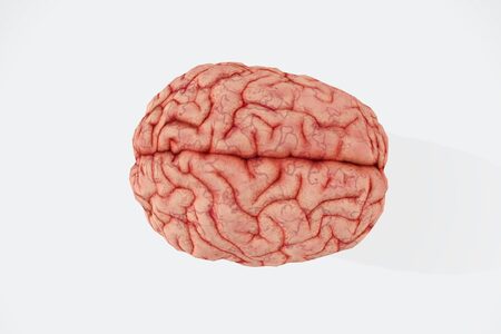 Pravda, nebo mýtus: Využívá člověk jen 10 % svého mozku?
