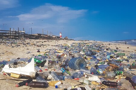 Zvířata v ohrožení: Planeta plná plastů