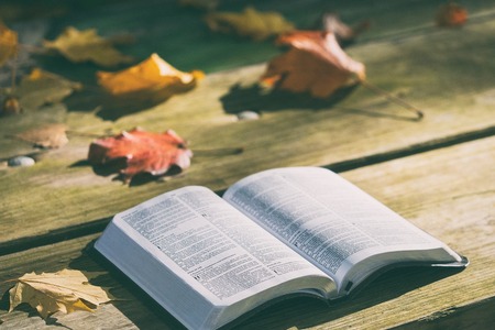 Když chybí „not“: Biblické překlepy a jejich překvapivé důsledky