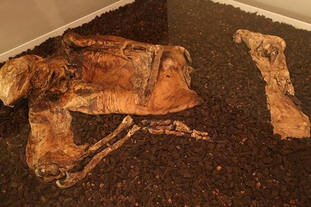 Nálezy z Lindowu: Hlava ženy a zavražděný druid