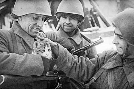 Obležený Leningrad zachránily i tisíce koček