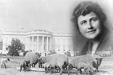 Řídila Edtih Wilsonová Bílý dům místo manžela?