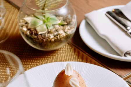 ZEM servíruje jaro na talíři