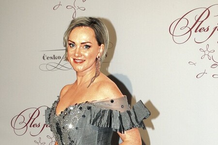 Oddělené životy Hilmerové a potom rozvod?