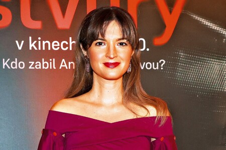 Vyřešila Ryška krizi milencem?