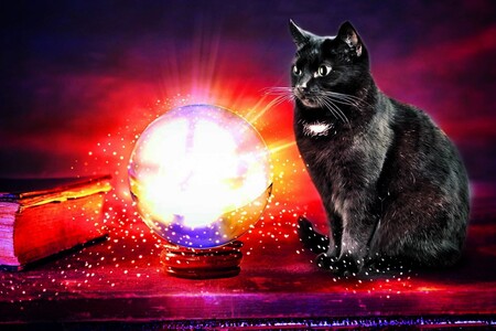 Rituály v zájmu ochrany