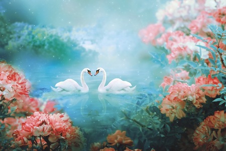 Jaké je vaše duchovní zvíře?