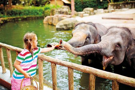 Výlet do daleké země prodloužil vnučce život