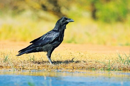 Díky Rudolfovi nejsem sama, mám rodinu!