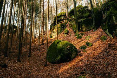 Bludný kámen mě začaroval