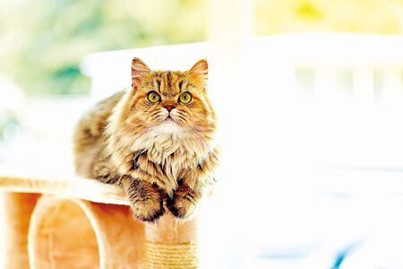 Překonal strach a přišel se rozloučit